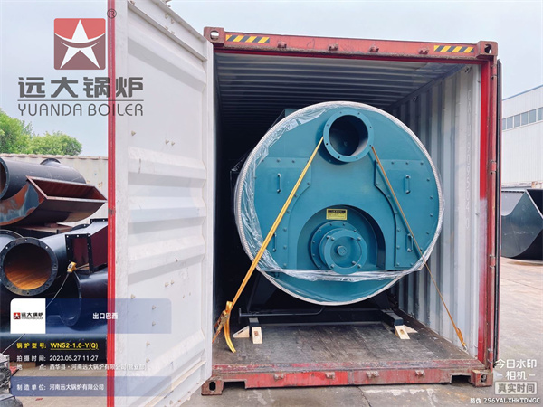 Brazil Project Gas Steam Boiler 2000kg/hour Ready For Transportation