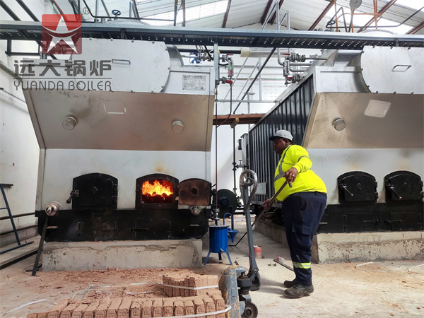 DZH 2TON Wood Briquette Steam Boiler Manual Wood Boiler In Kenya