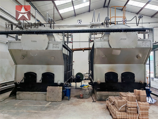 DZH 2TON Wood Briquette Steam Boiler Manual Wood Boiler In Kenya