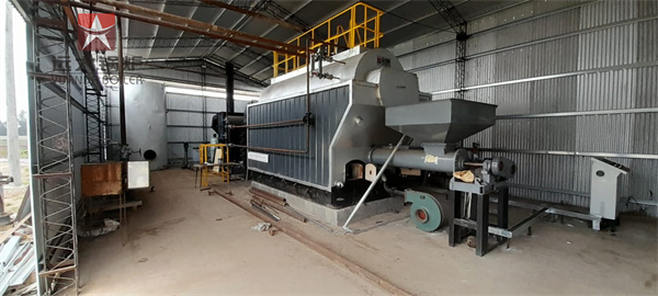Argentina Travelling Grate Steam Boiler 4Ton Biomass Waste Sunflower Seeds Husk Boiler For Edible Oil Factory