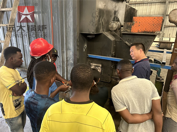 Ghana Food Factory 4Ton Biomass Steam Boiler Engineering Service
