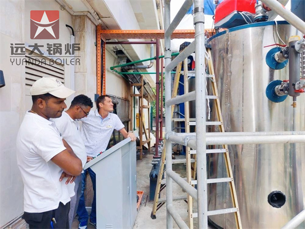 Hotel Gas Steam Boiler 500kg 1000kg In Seychelles