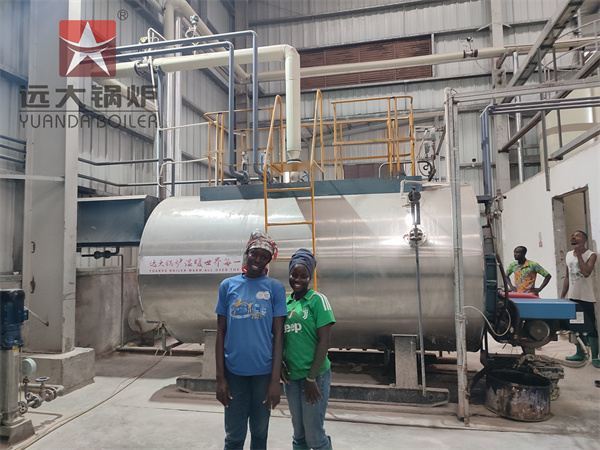WNS Fire Tube Steam Boiler Engineering Service in Tanzania