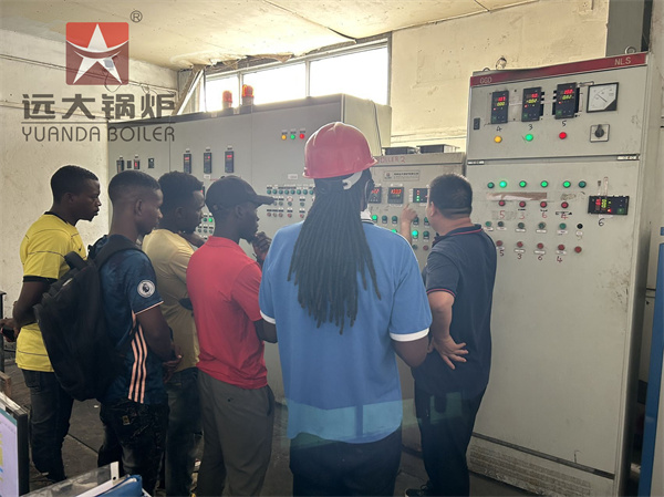 WNS Fire Tube Steam Boiler Engineering Service in Tanzania