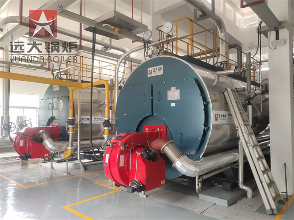 10ton Fire Tube Steam Boiler Installtion & Commissioning Work