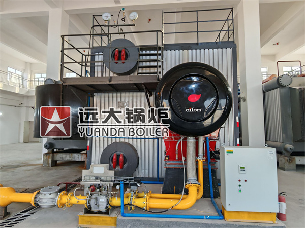 Water Tube Steam Hot Water Boiler Packaged Natural Gas Fired Boiler 40ton 28mw