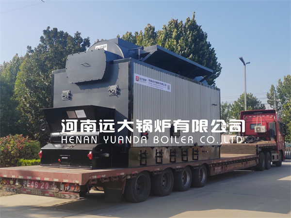 DZL Chain Grate Biomass Boiler 6Ton South Africa ASME Code Steam Boiler
