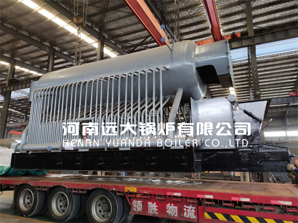Yuanda Boiler 8Ton Biomass Fired Steam Boiler Ricehusk Boiler Deliver to Zambia