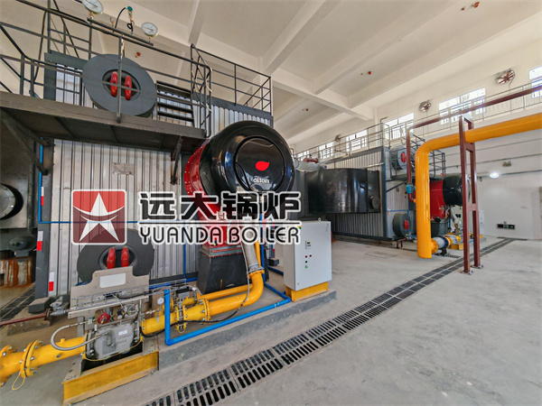 SZS Series Water Tube Oil Gas Boiler Double Drums “D-type” Vertical Arrangement Boiler