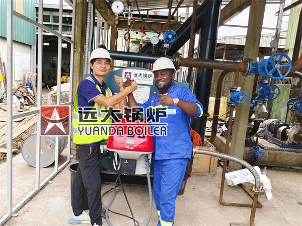 Diesel Gas Fired Thermal Oil Heater Boiler 600000Kcal 700KW Oil Heater