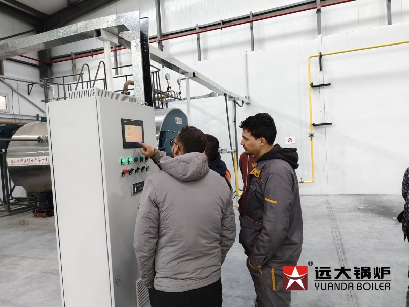 Canton Packaging Factory Steam Boiler 4000kg Diesel Gas Fired Boiler In Algeria