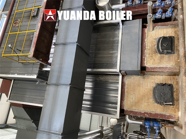 Coal Steam Boiler 40Ton Industrial Boiler For Flour Plant China