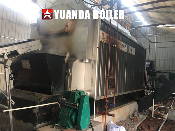 3Ton Biomass Steam Boiler Chain Grate Boiler Made in China