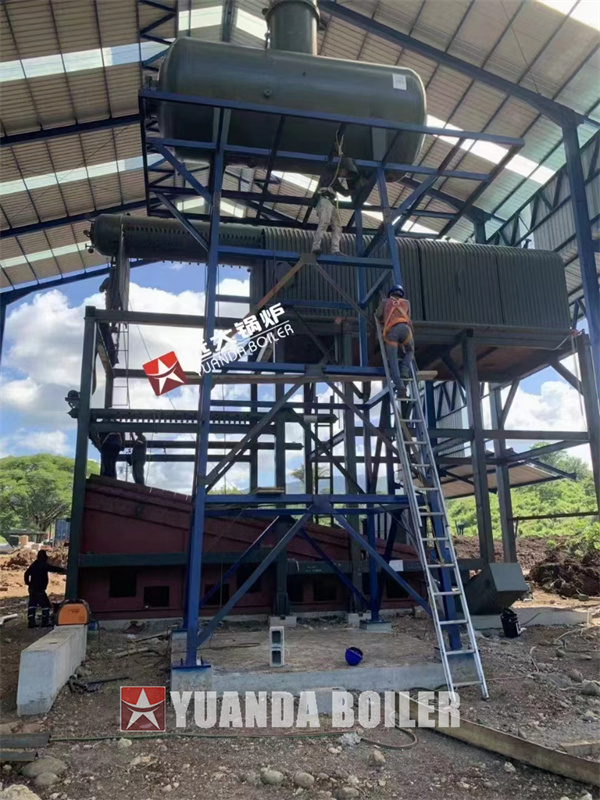 Industrial Bagasse Boiler Biomass Boiler Electricity Power Generation Boiler 20Ton