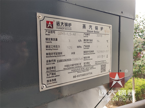 Chaudière à vapeur à bois biomasse 3 tonnes 3000 kg fabriquée en Chine
