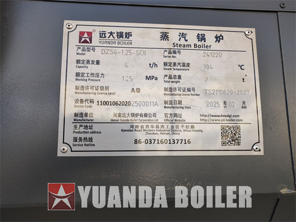 DZS Wood Biomass Steam Boiler 4Ton Made in China