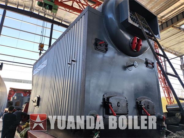 DZS Wood Biomass Steam Boiler 4Ton Made in China