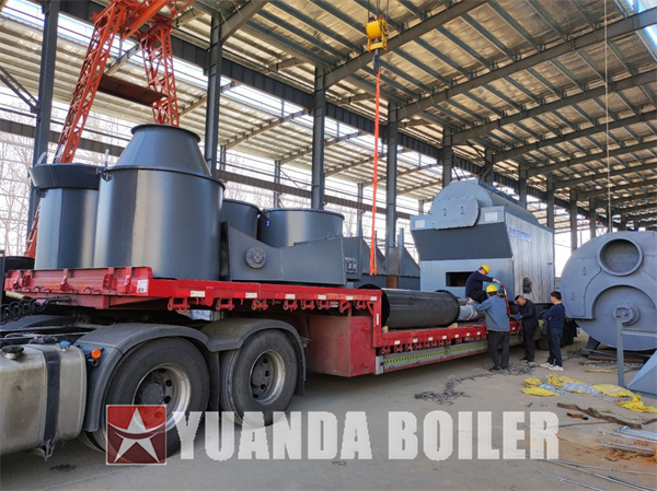 DZS Wood Biomass Steam Boiler 4Ton Made in China