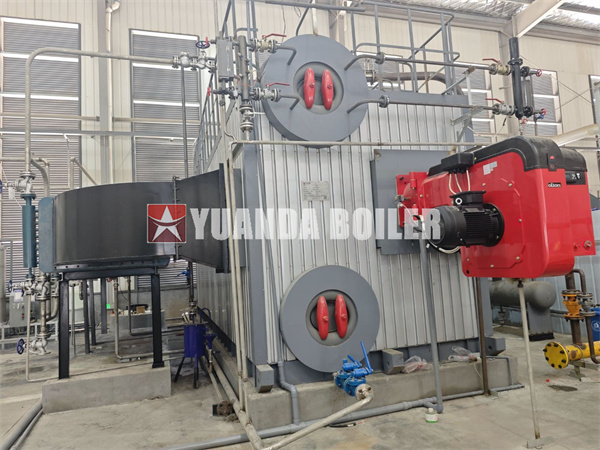 Horizontal Water Tube Boiler Oil Gas Steam Boiler Double Drums Bi Type Industrial Boiler