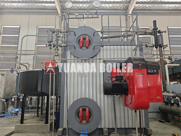 Horizontal Water Tube Boiler Oil Gas Steam Boiler Double Drums Bi Type Industrial Boiler