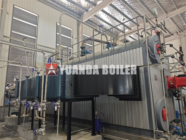 Horizontal Water Tube Boiler Oil Gas Steam Boiler Double Drums Bi Type Industrial Boiler