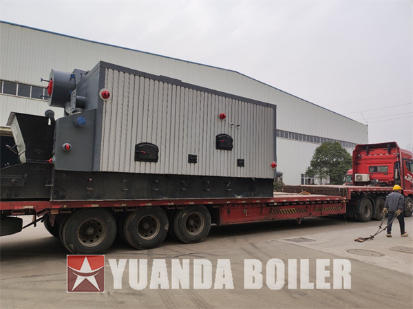 Uganda Biomass Steam Boiler 6Ton Water Tube Boiler For Food Factory