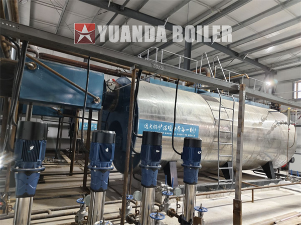 Kazakhstan Food Factory Project 10,000kg Fuel Oil Gas Fired Steam Boiler With PLC Control Cabinet