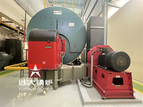 Indonesia Food Beverage Company Diesel Gas Fire Tube Steam Boiler 20Ton