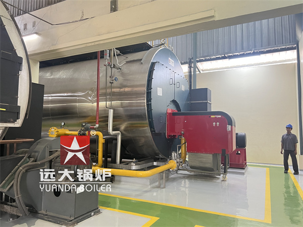 Indonesia Food Beverage Company Diesel Gas Fire Tube Steam Boiler 20Ton