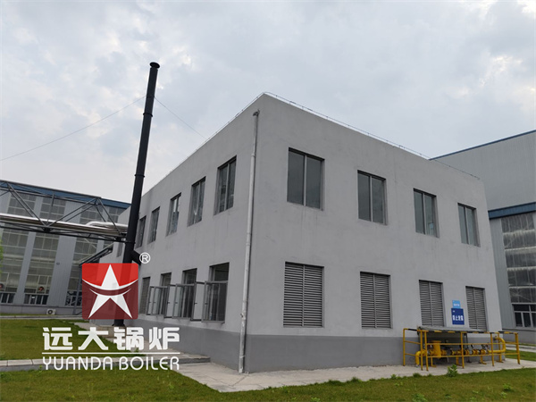 2.4Million Kcal Thermal Oil Heater Boiler Diesel Gas Power, Oil Boiler For Chemical Industry