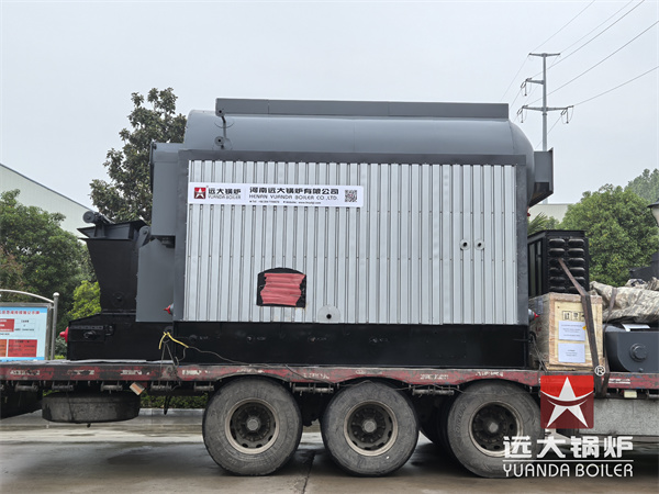 DZL Series Chain Grate Boiler 2Ton Steam Biomass Boiler For Oil Mill Bangladesh