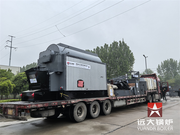 DZL Series Chain Grate Boiler 2Ton Steam Biomass Boiler For Oil Mill Bangladesh