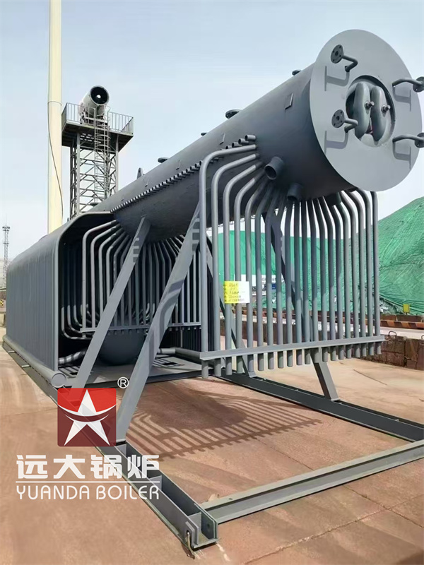 Indonesia Project 20Ton Biomass Water Tube Boiler With Reciprocating Grate