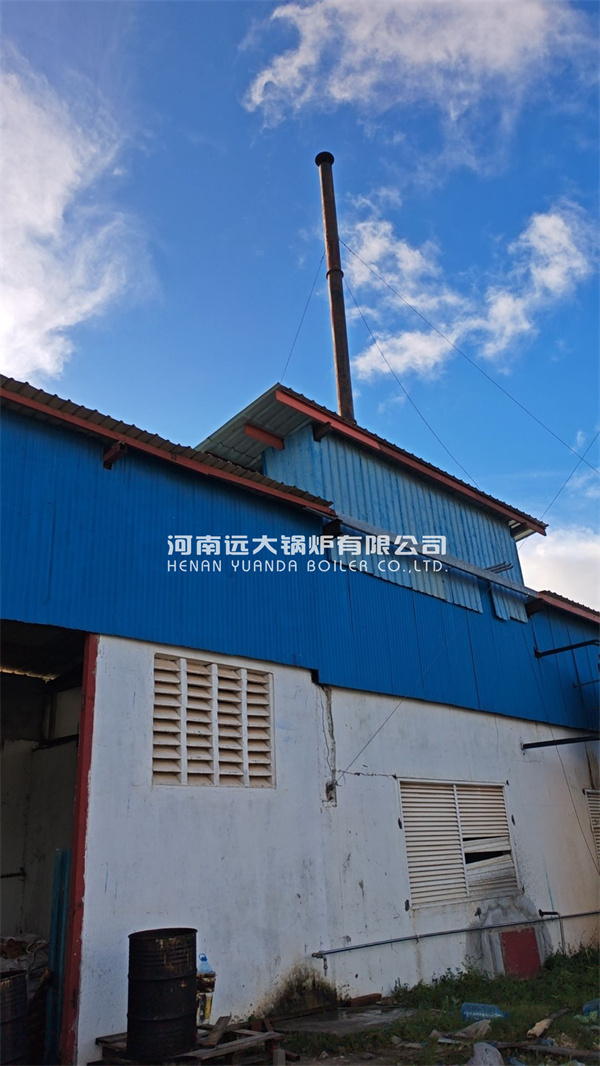 1000kg Wood Fired Steam Boiler Vertical Wood Biomass Boiler In Tanzania