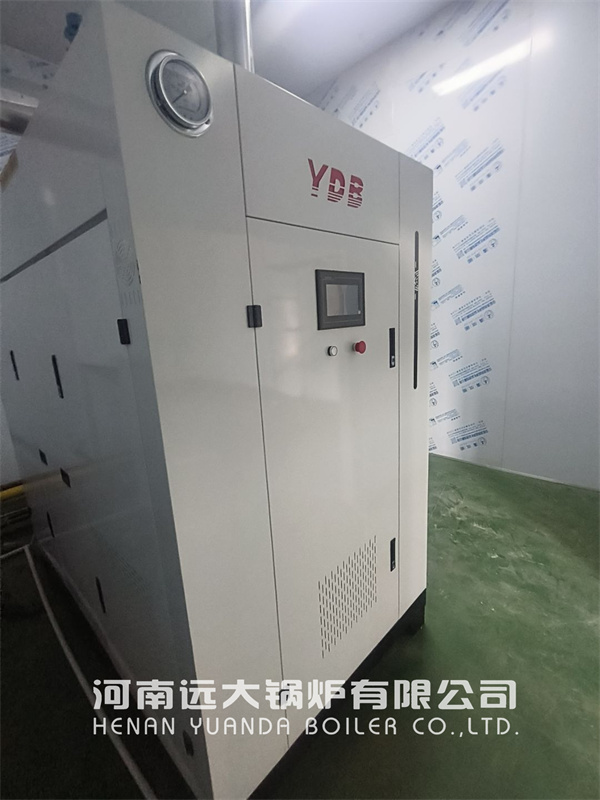 Food Processing Steam Generator 1000kg 1tph Natural Gas Steam Generator
