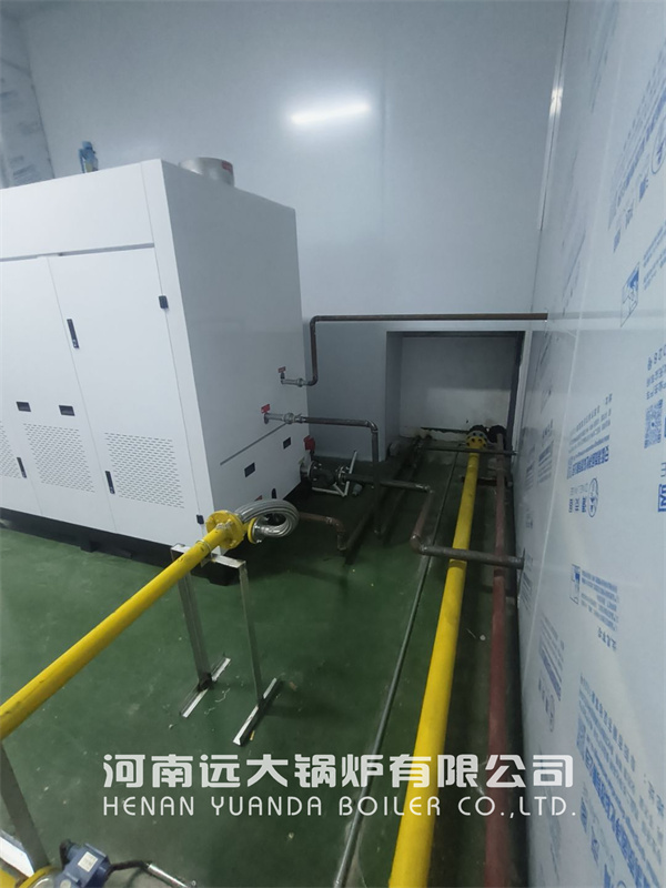 Food Processing Steam Generator 1000kg 1tph Natural Gas Steam Generator