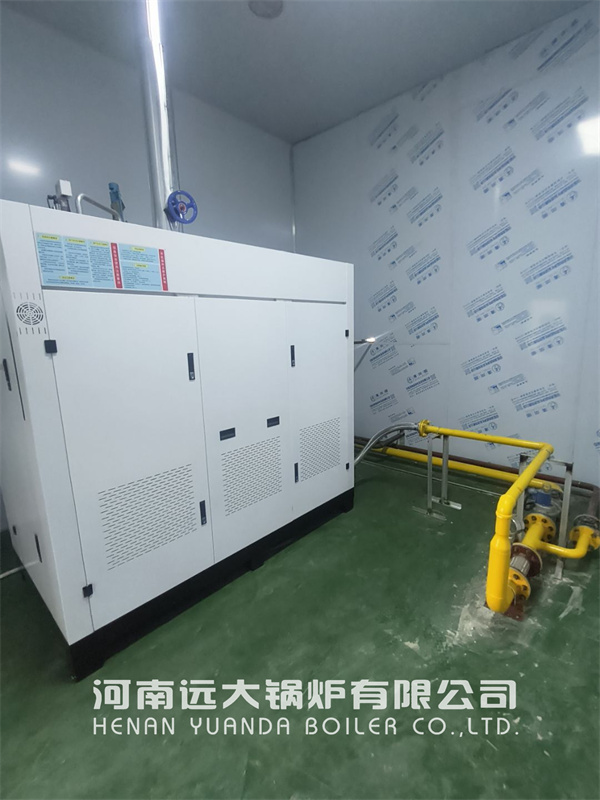 Food Processing Steam Generator 1000kg 1tph Natural Gas Steam Generator