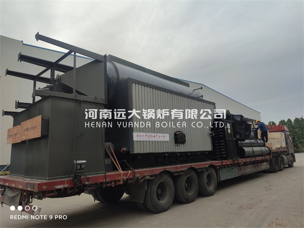 DZH Manual Feeding Boiler Travelling Grate Boiler 4ton Wood Biomass Boiler