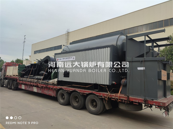 DZH Manual Feeding Boiler Travelling Grate Boiler 4ton Wood Biomass Boiler