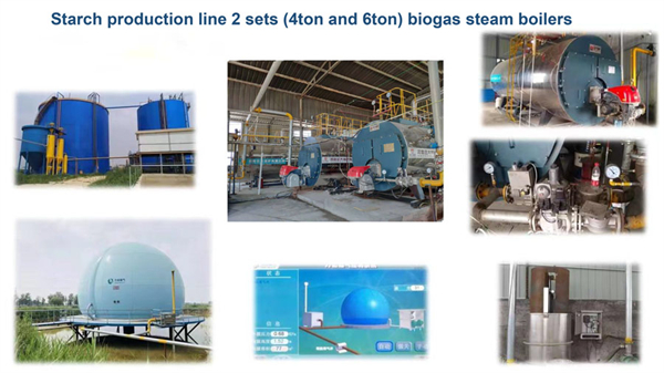 Biogas Steam Boiler For Starch Production Factory