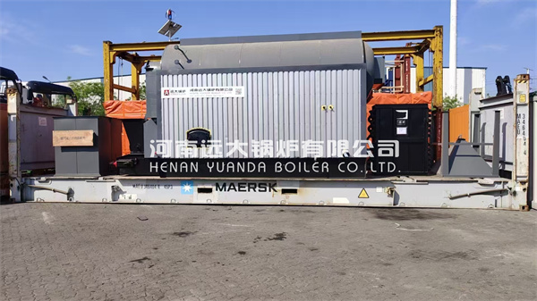 Mauritius Wood Biomass Solid Fuel Steam Boiler 4000KG