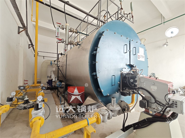 6Ton Industrial Diesel Gas Steam Boiler For Poly Group Factory Indonesia