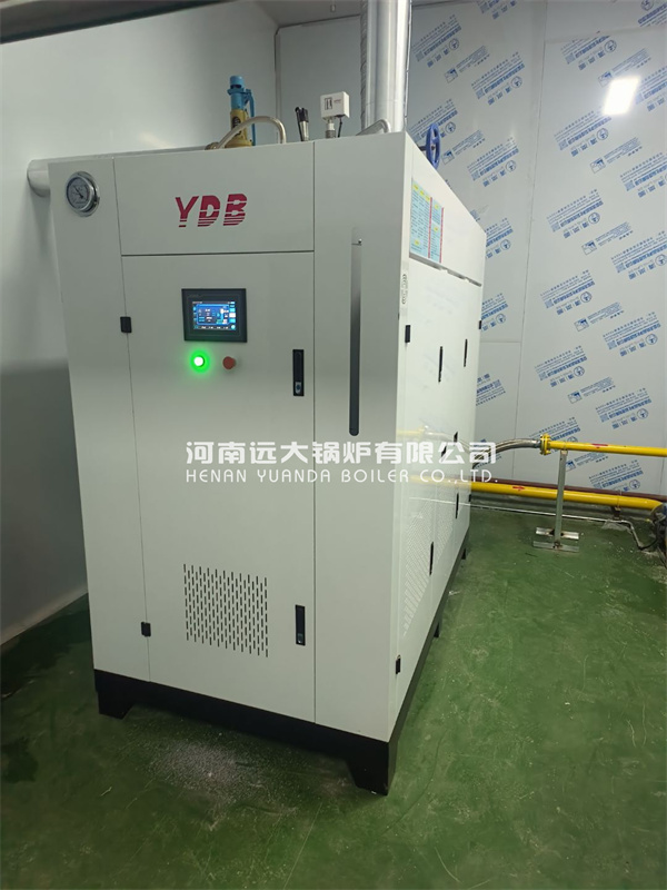 Food Processing Steam Generator 1000kg 1tph Natural Gas Steam Generator