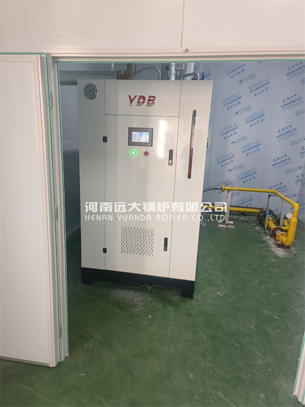 Food Processing Steam Generator 1000kg 1tph Natural Gas Steam Generator