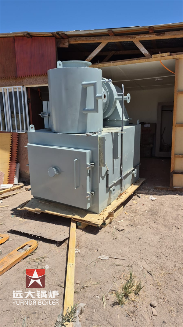 Chile Animal Pet Cremation Incinerator Machine Incinerador de Mascotas 50kg