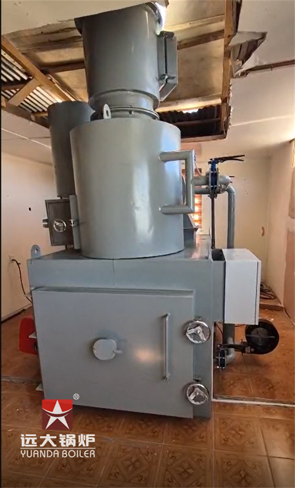 Chile Animal Pet Cremation Incinerator Machine Incinerador de Mascotas 50kg