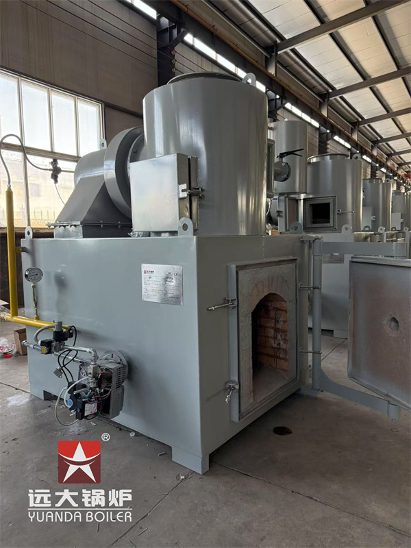 50kg Pet Animal Carcass Incinerator Deliver to Costa Rica