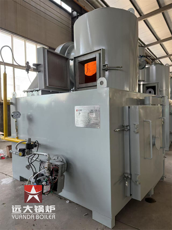50kg Pet Animal Carcass Incinerator Deliver to Costa Rica