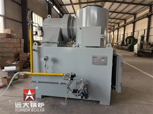 50kg Pet Animal Carcass Incinerator Deliver to Costa Rica