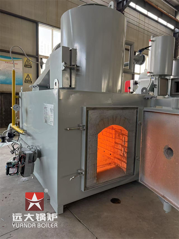 50kg Pet Animal Carcass Incinerator Deliver to Costa Rica